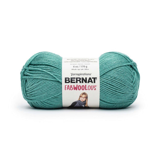 Bernat Fabwoolous Yarn Teal Pack of 3 *Pre-order*