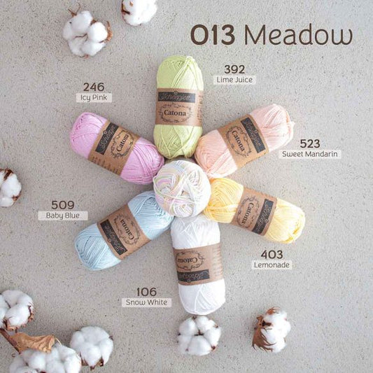 Scheepjes Catona Chroma 50g - 013 Meadow