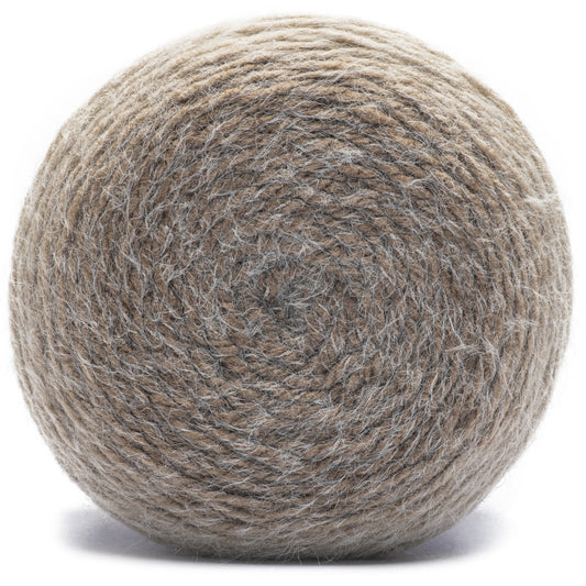 Caron Colorama Halo Yarn Nutmeg Frost