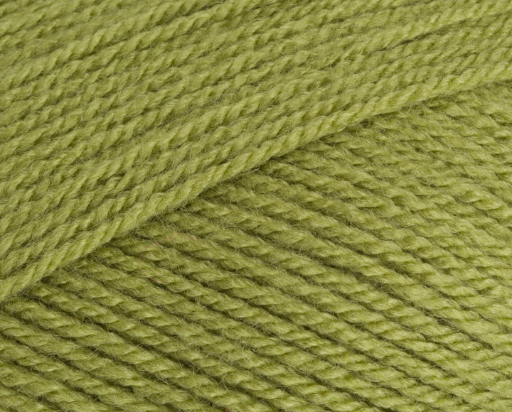 Stylecraft Special DK Meadow