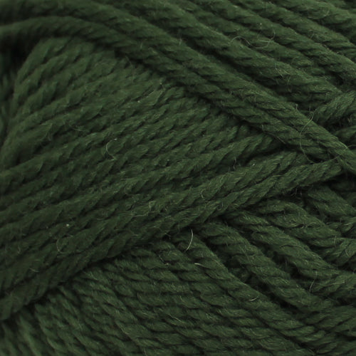 Broadway merino Aran - Pine 10 Pack