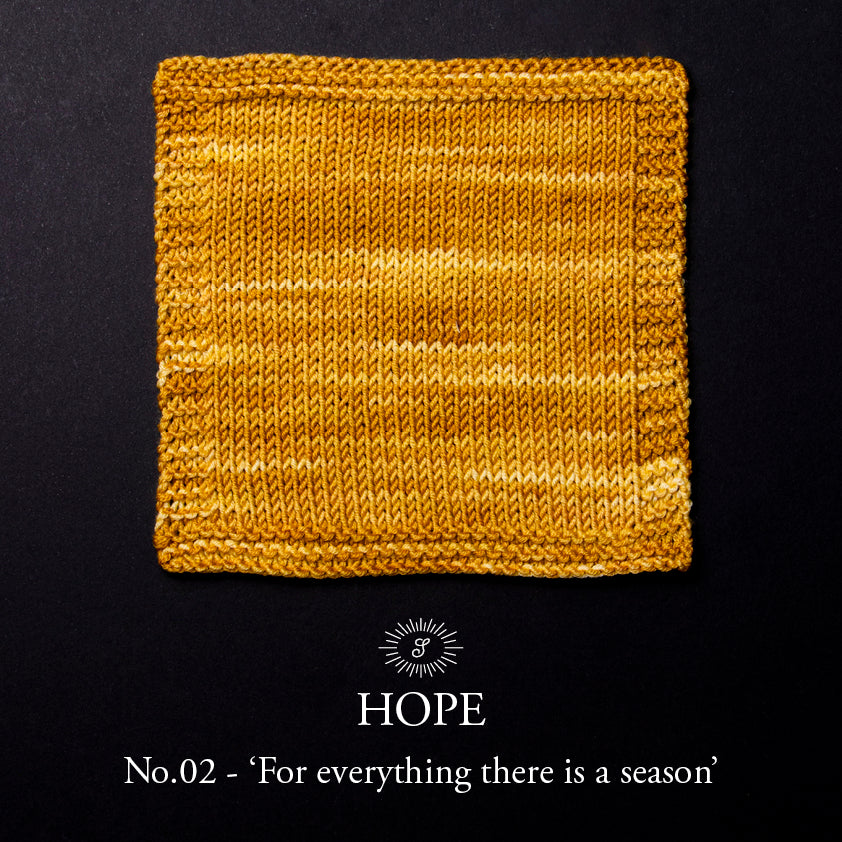 Simy's Hope DK 2