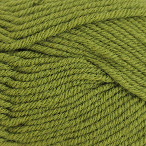 Broadway NZ Merino DK Leaf Green 10 Pack