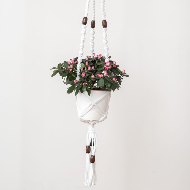 DIY Kit Zpagetti Macrame hanging basket colour - White
