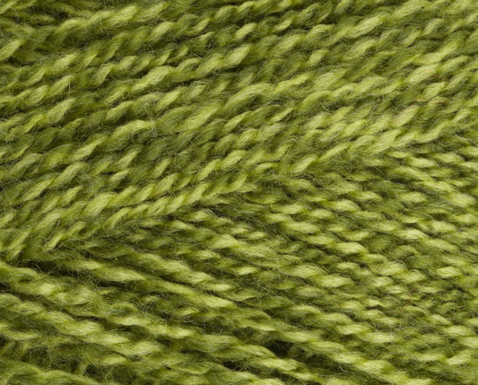 Stylecraft Special DK Greengage Mix