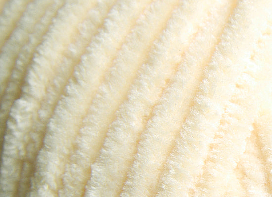 Himalaya Dolphin Baby Chenille Yarn Sand Cream