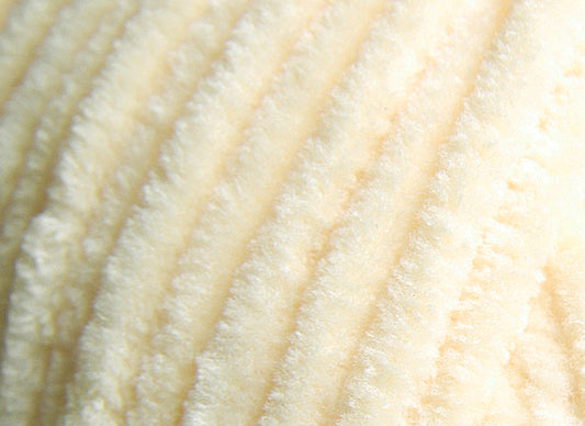 Himalaya Dolphin Baby Chenille Yarn Sand Cream