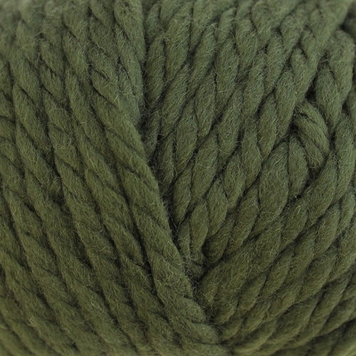 Broadway NZ Super Chunky Merino Fern 10 PACK