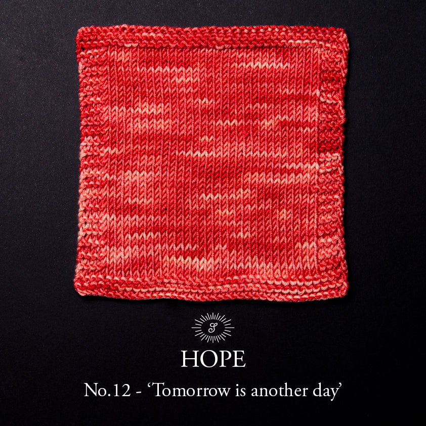 Simy's Hope DK 12