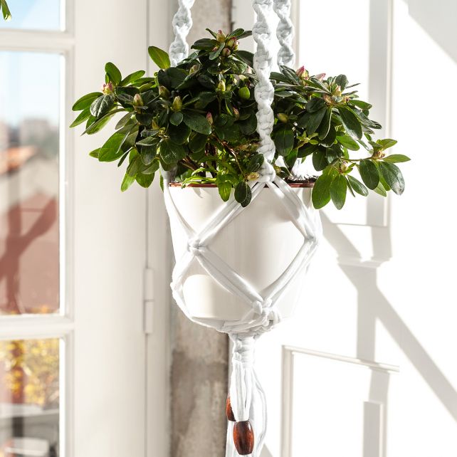 DIY Kit Zpagetti Macrame hanging basket colour - White